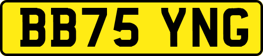 BB75YNG