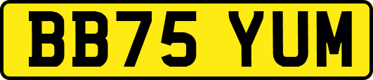 BB75YUM