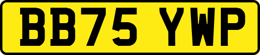 BB75YWP