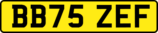 BB75ZEF