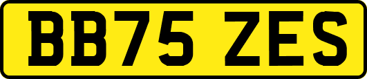 BB75ZES