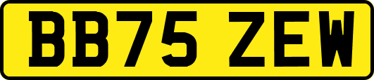 BB75ZEW