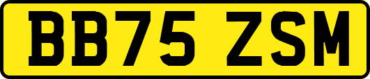 BB75ZSM