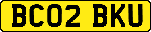 BC02BKU
