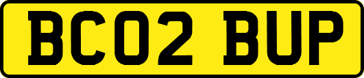 BC02BUP