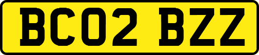 BC02BZZ