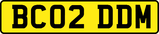 BC02DDM