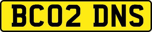 BC02DNS
