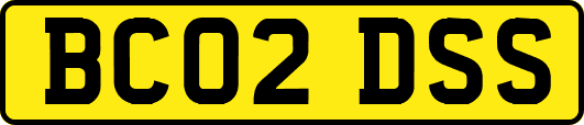 BC02DSS