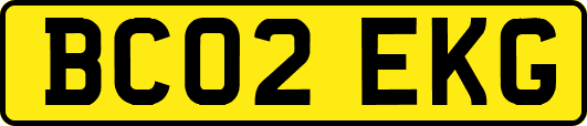 BC02EKG