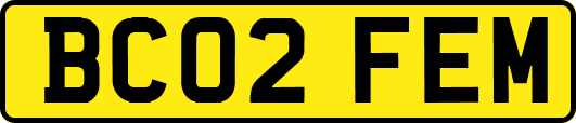BC02FEM