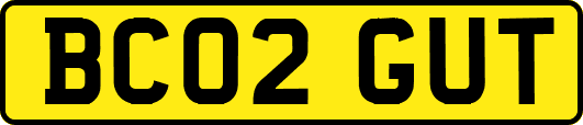 BC02GUT
