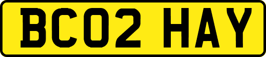 BC02HAY