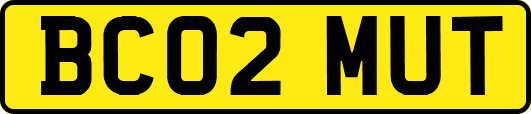 BC02MUT