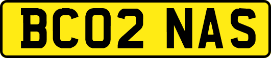 BC02NAS