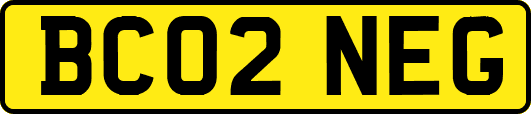 BC02NEG