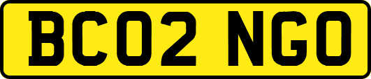 BC02NGO