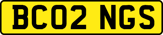 BC02NGS
