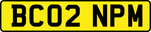 BC02NPM
