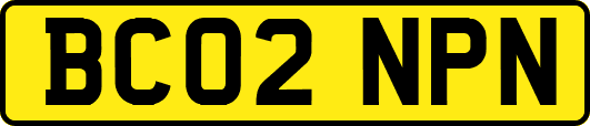BC02NPN