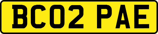 BC02PAE
