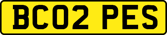 BC02PES