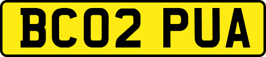 BC02PUA