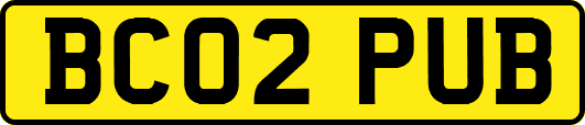 BC02PUB
