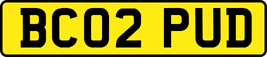 BC02PUD
