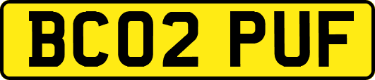 BC02PUF