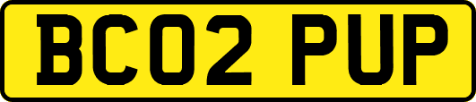 BC02PUP