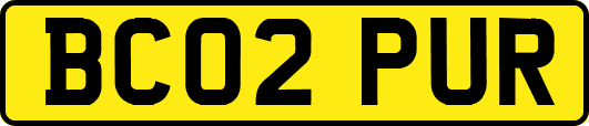 BC02PUR