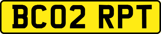 BC02RPT