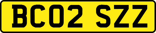 BC02SZZ