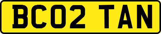 BC02TAN