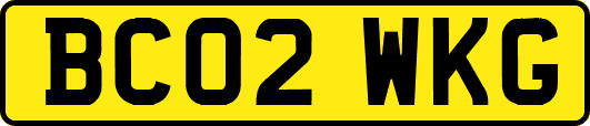 BC02WKG