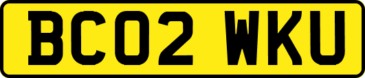 BC02WKU