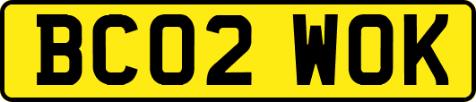 BC02WOK