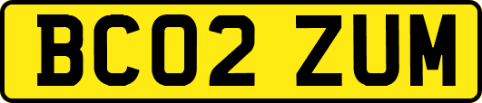 BC02ZUM