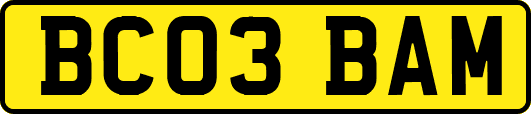 BC03BAM