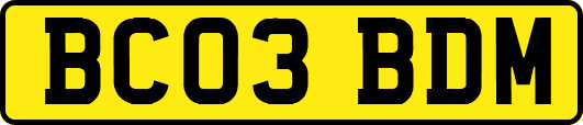 BC03BDM