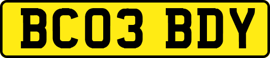 BC03BDY