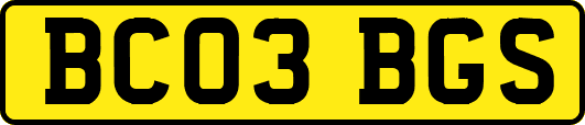 BC03BGS