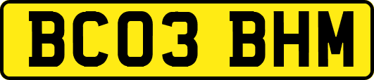 BC03BHM