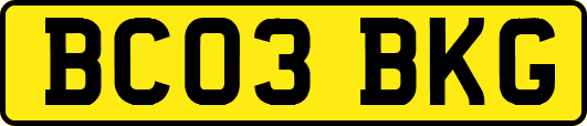 BC03BKG