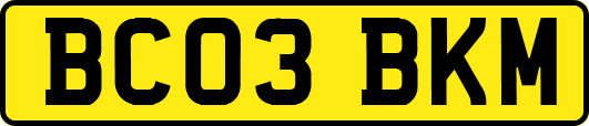 BC03BKM