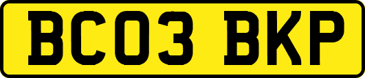 BC03BKP