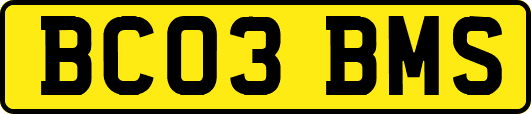 BC03BMS