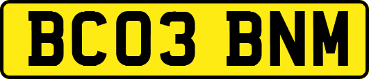 BC03BNM