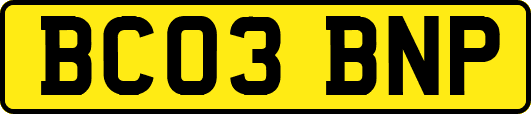 BC03BNP